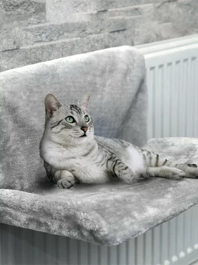 Pet Cat Animal Hammock Luxury Radiator Bed Hanging Winter Warm Fleece Basket Hammocks Metal Iron Frame Sleeping Bed for Cats