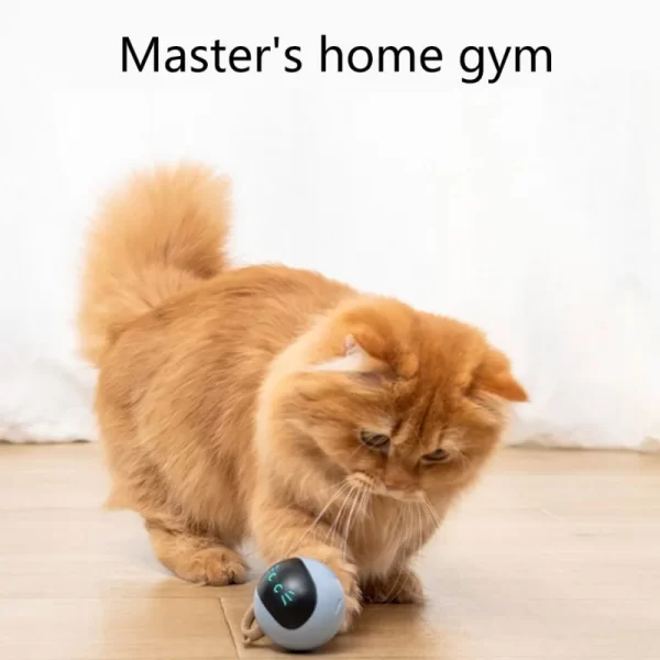 Automatic Smart Interactive Cat Toy - Image 5