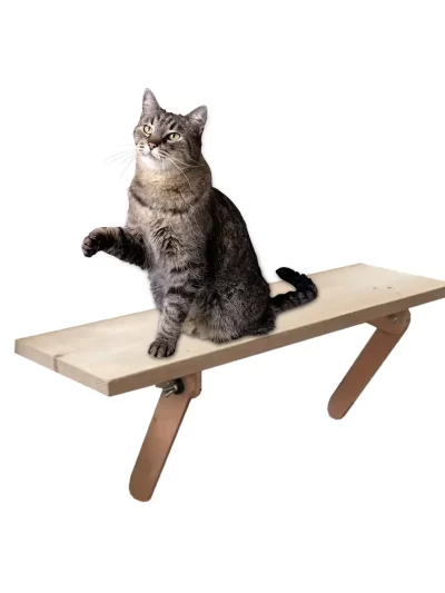 Mounted Shelf Bed