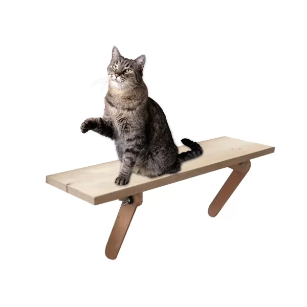 Mounted Shelf Bed