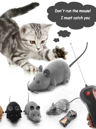 Wireless Electric Rat! You control the fun!