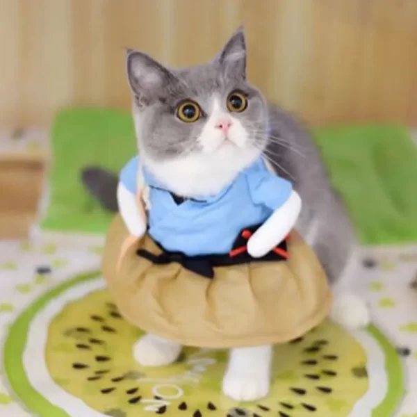 Samurai Cat Costume - Image 4