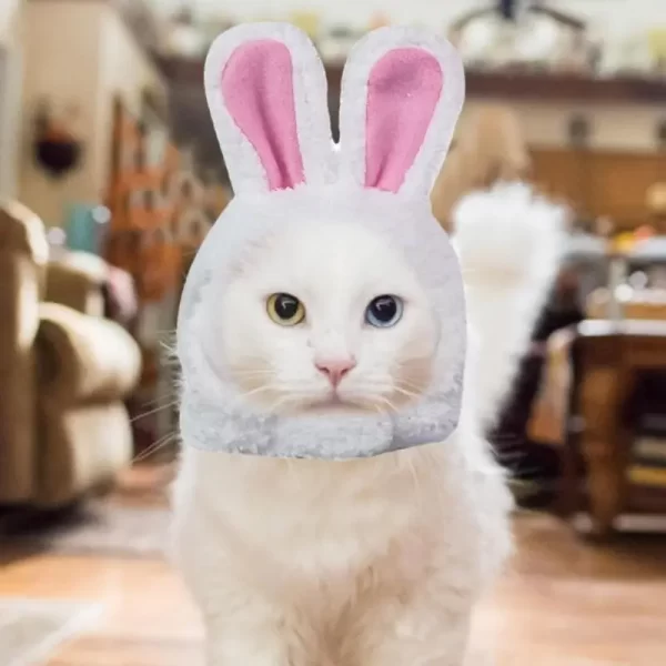 Cute Bunny Ears - Image 3