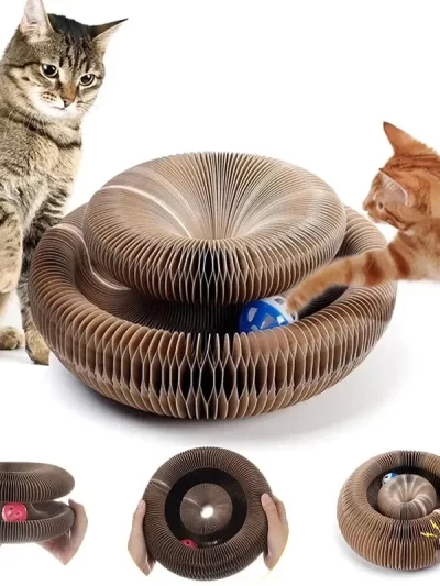 Magic Organ Cat Scratcher