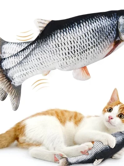 Dancing Fish For Cats
