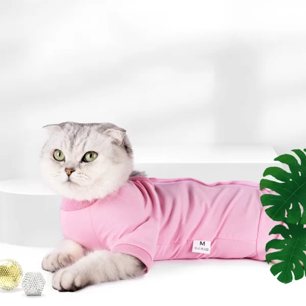 Cat Recovery Suit - Image 4