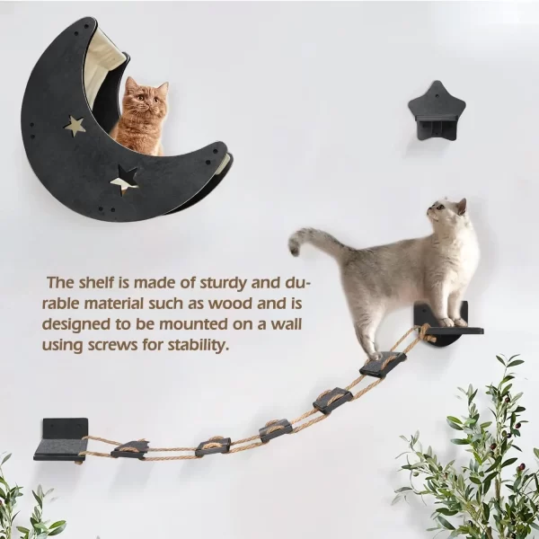 Modern Climbing Wall Bridge - Image 5