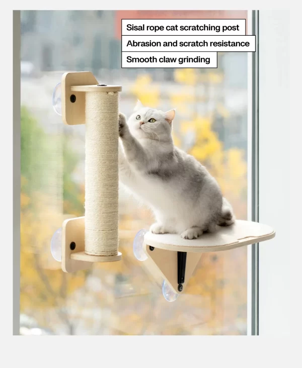 Mewoofun Glass Suction Cup Wall Shelf - Image 5