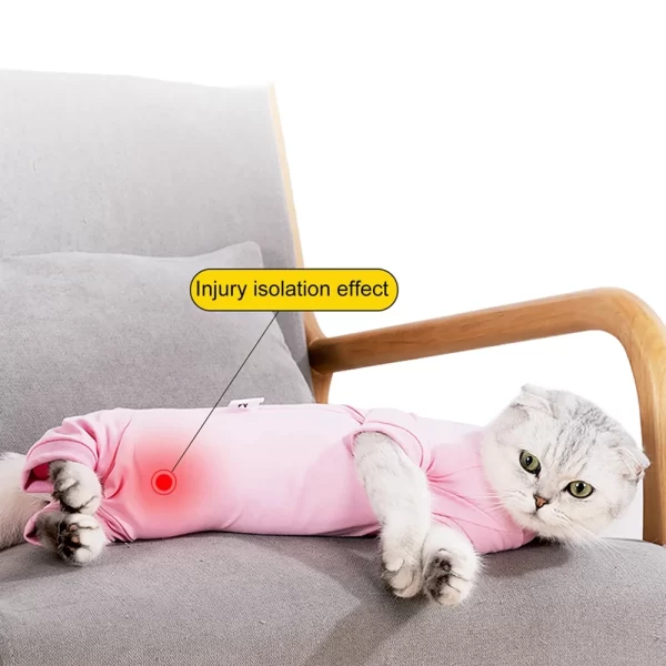 Cat Recovery Suit - Image 6