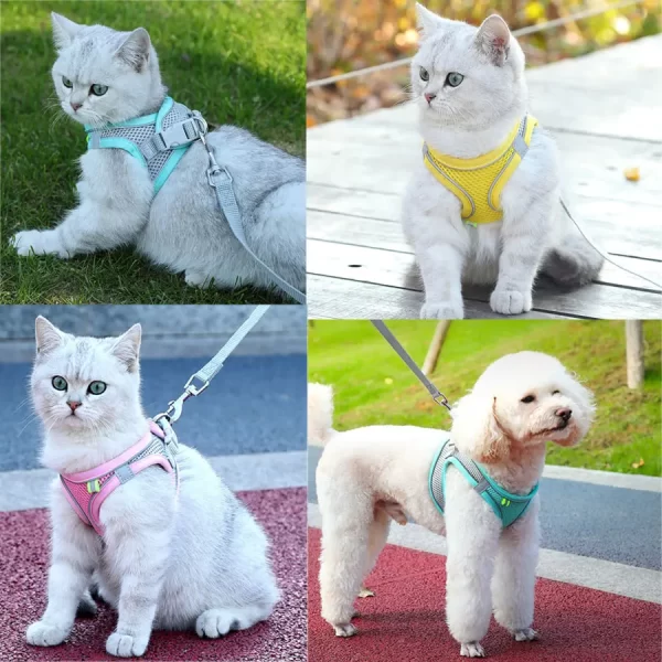 Reflective Cat harness and Leash Set - Image 6