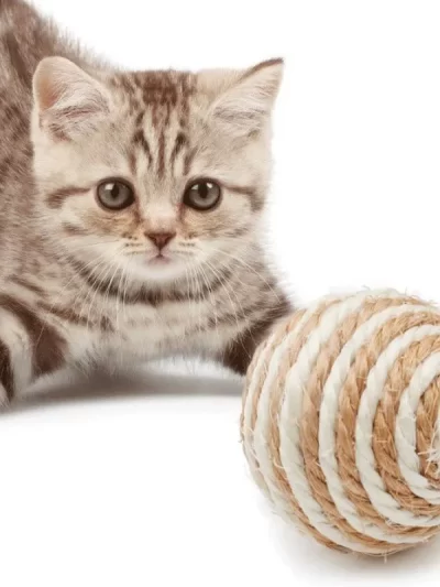 Sisal Eco-friendly Cat Scratching Ball