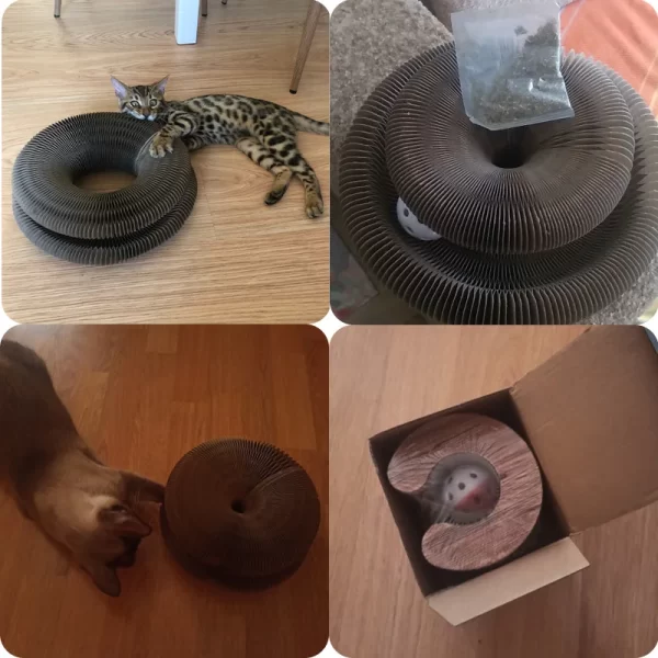 Magic Organ Cat Scratcher - Image 6
