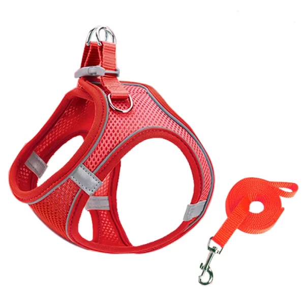 Reflective Cat harness and Leash Set - Image 11