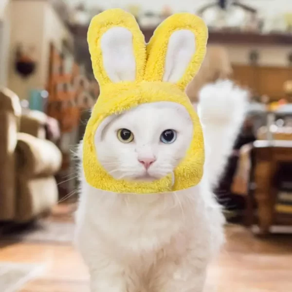 Cute Bunny Ears - Image 5