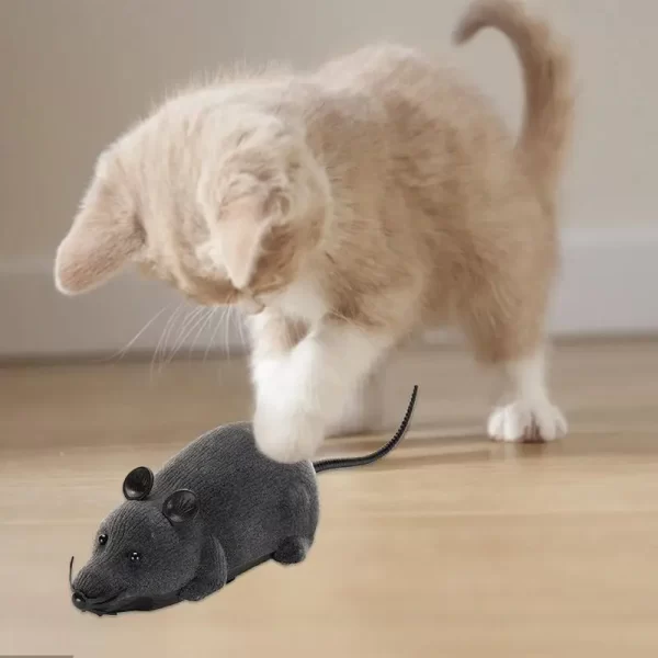 Robotic Mouse Cat Toy - Image 6