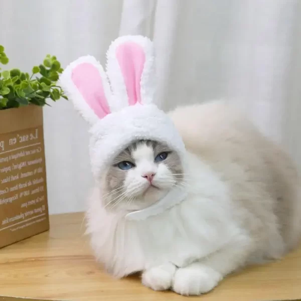 Cute Bunny Ears - Image 4
