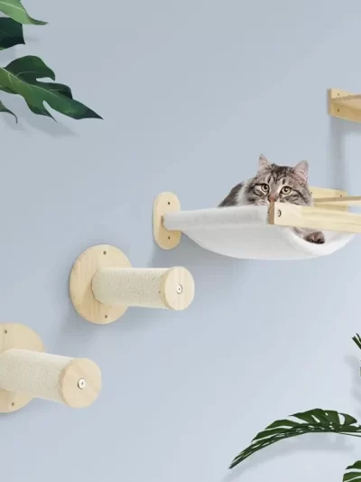 Cat Shelves and Wall Mounted