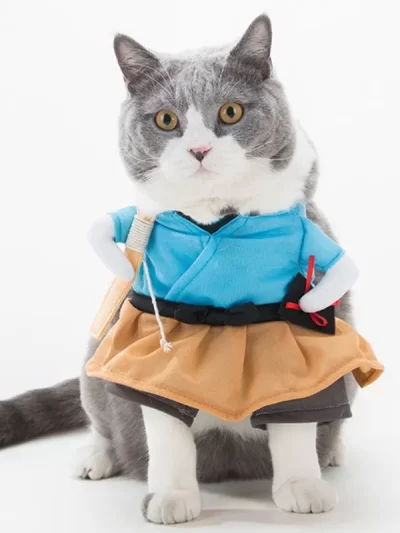 Samurai Cat Costume