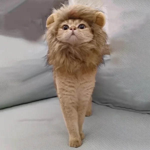 Lion Mane Cat Costume - Image 2