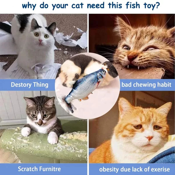 Dancing Fish For Cats - Image 5