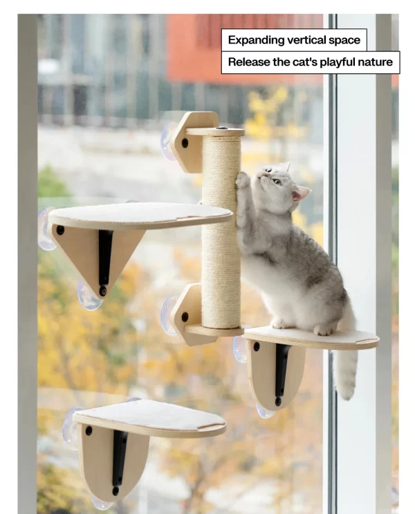 Mewoofun Glass Suction Cup Wall Shelf
