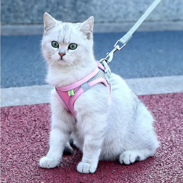 Reflective Cat harness and Leash Set - Image 5