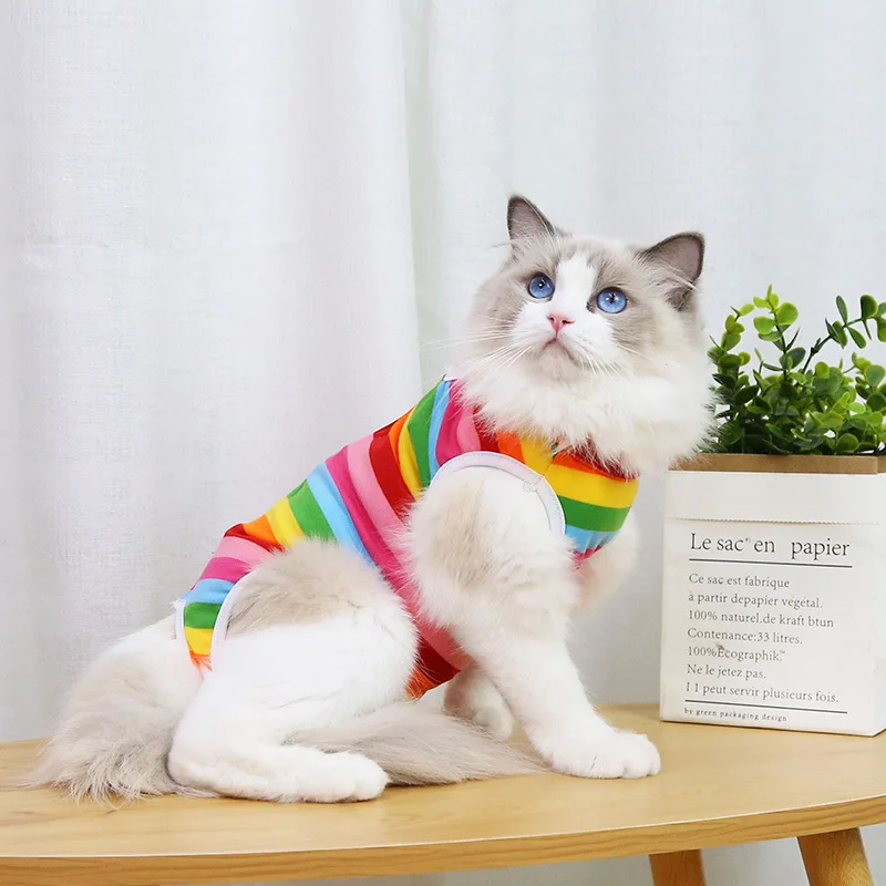 A cheerful little healing suit that brings comfort and color to recovery days. - Image 17