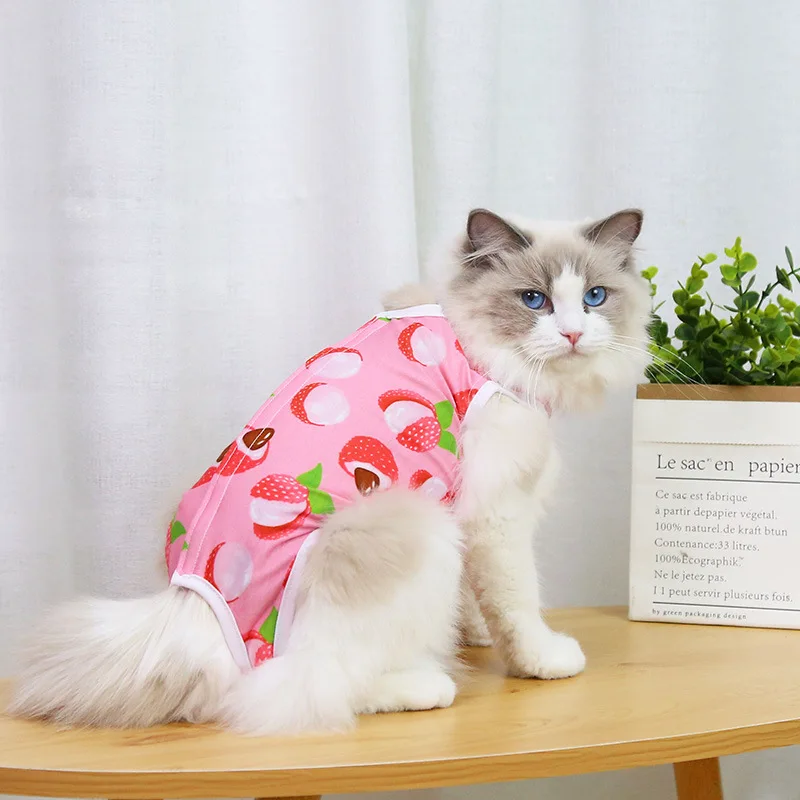 A cheerful little healing suit that brings comfort and color to recovery days. - Image 20