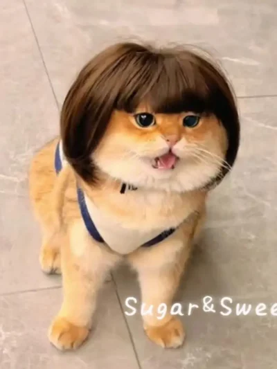 Sweet little dress up accessory wig.  Tiny, Cute, and Totally Irresistible
