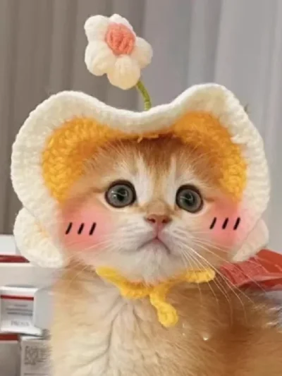 Knitted Autumn Kitty Hat.  Cute Elastic Winter Cap for Cats & Kittens