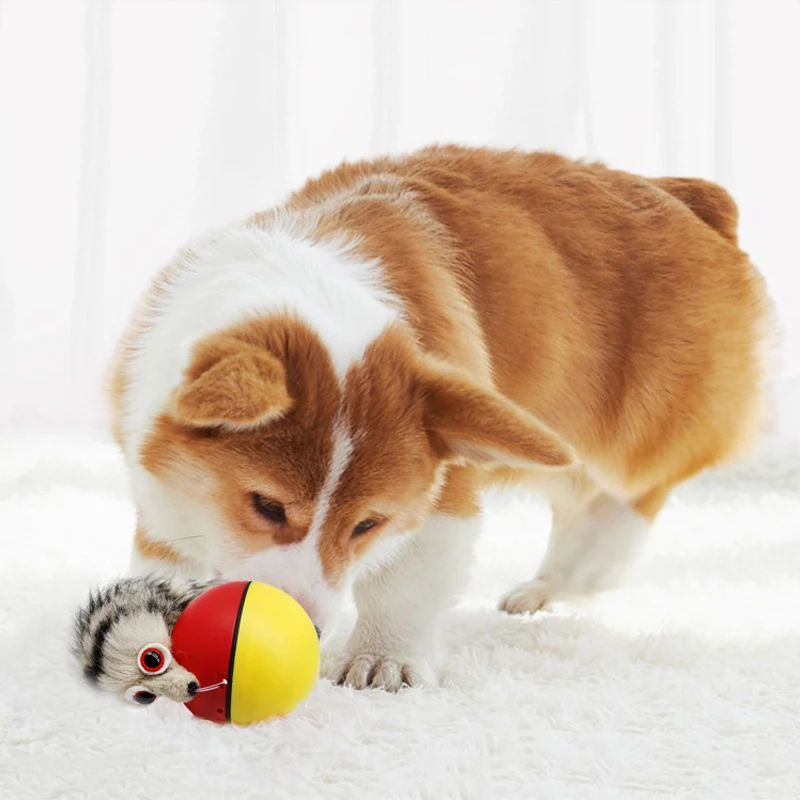 🐾 Interactive Ferret Rolling Ball Toy. A rolling burst of fun for your curious little explorer. - Image 7