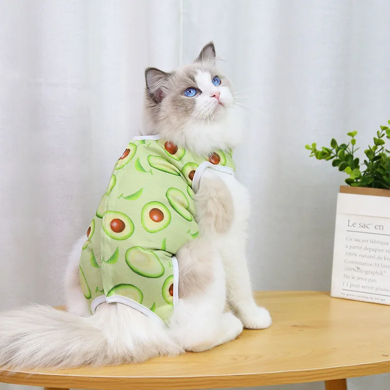 A cheerful little healing suit that brings comfort and color to recovery days. - Image 25