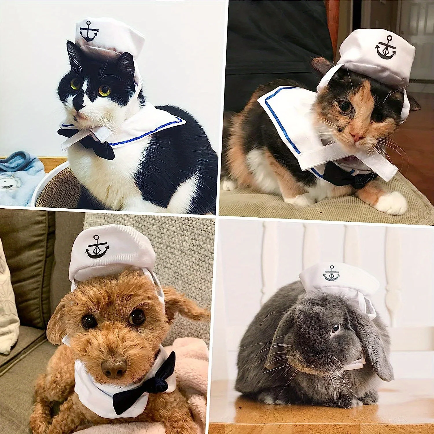 Seaside Sailor Kitty Suit. Nautical, Charming, and Ready to Set Sail - Image 6