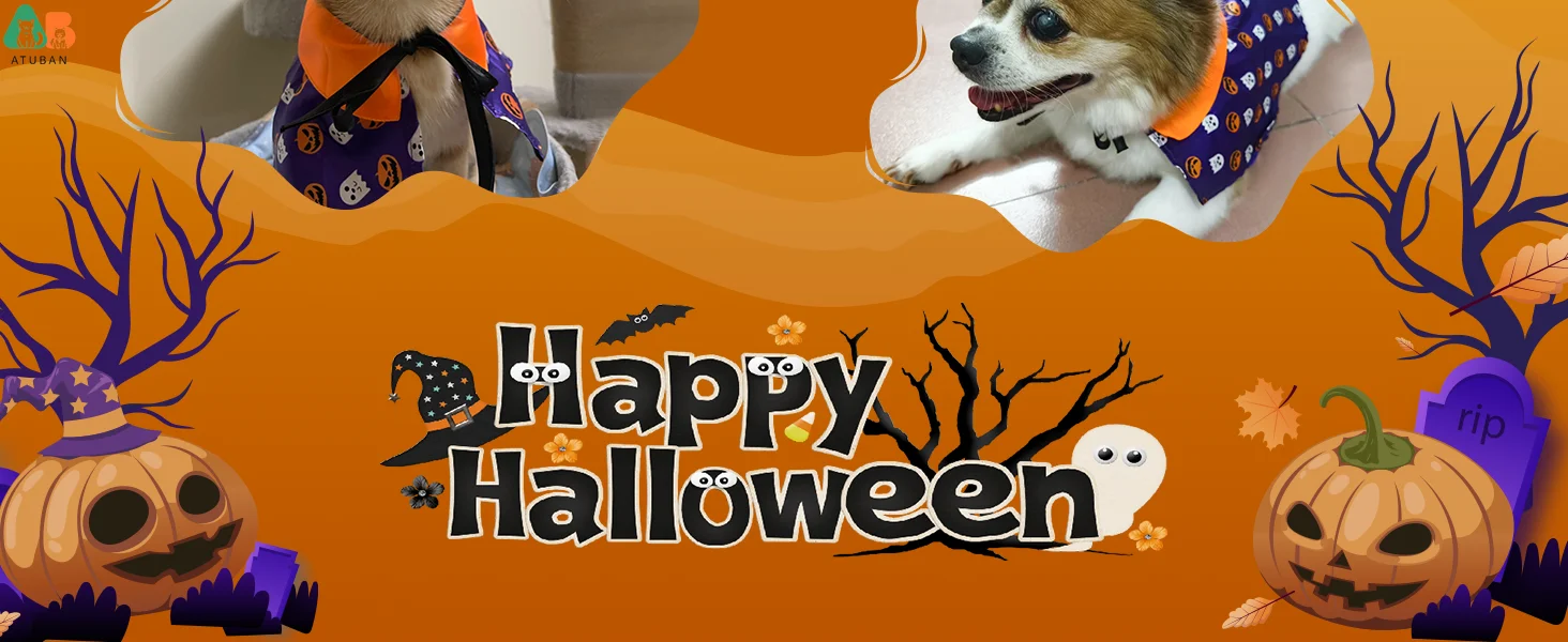 Magical Cat Wizard Cloak, Halloween Pumpkin Ghost Cape for Kitties. - Image 11