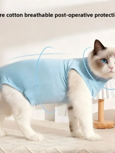A soft, breathable recovery suit that protects surgical areas while allowing your cat to move comfortably. A gentle alternative to the cone.