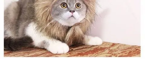 Warm & Whimsical Kitty Mane Hat. Cozy, Cute, and Perfect for Little Feline Divas - Image 13