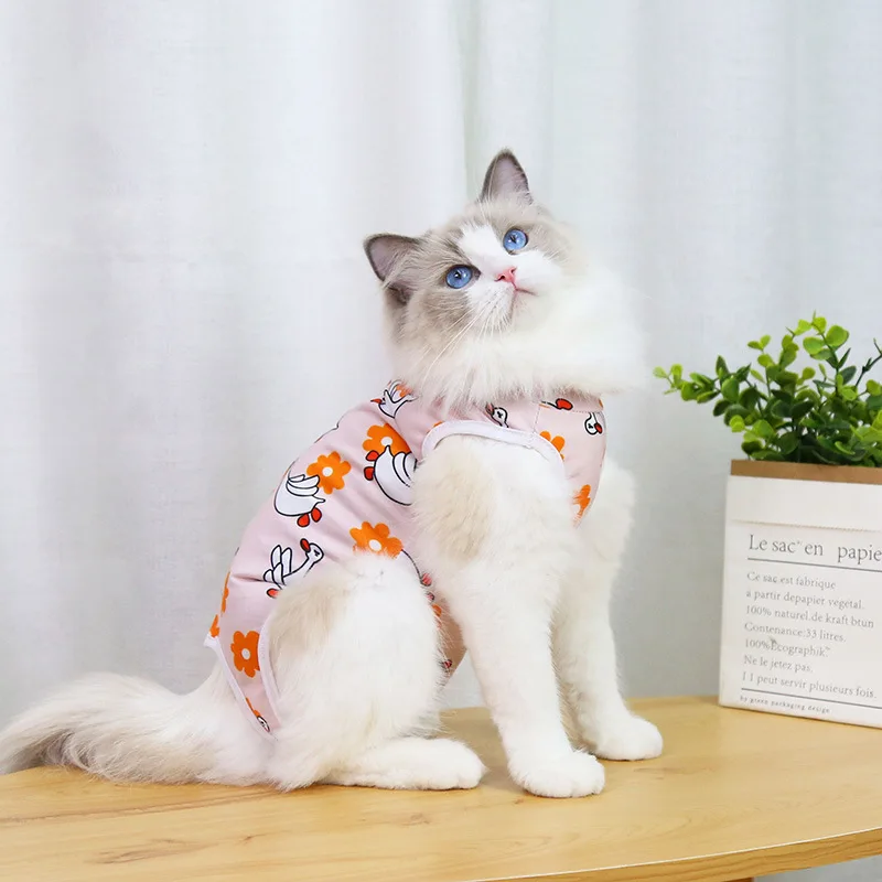A cheerful little healing suit that brings comfort and color to recovery days. - Image 24
