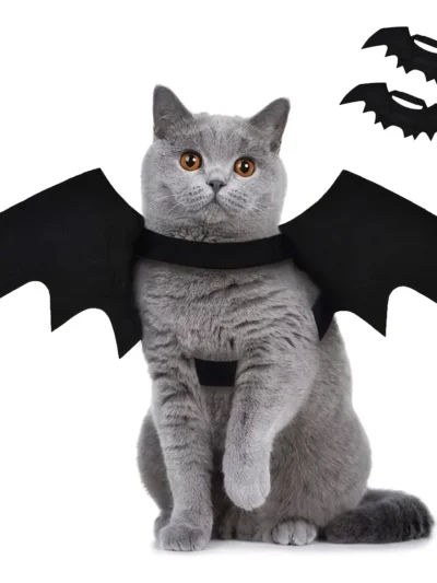 Bat Wings Kitty Costume.  A little spooky, a little silly — and totally purr‑fect for nighttime zoomies.