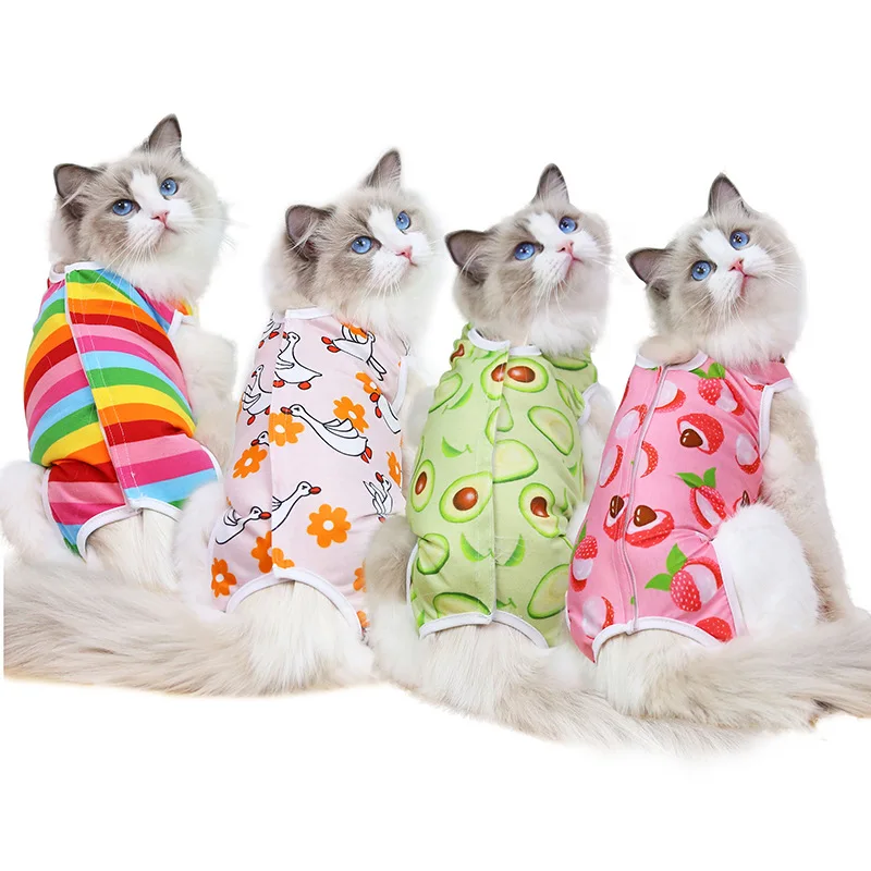 A cheerful little healing suit that brings comfort and color to recovery days. - Image 44