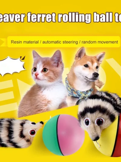 🐾 Interactive Ferret Rolling Ball Toy. A rolling burst of fun for your curious little explorer.