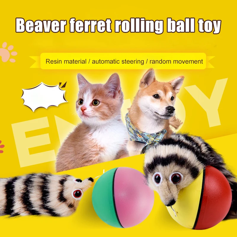 🐾 Interactive Ferret Rolling Ball Toy. A rolling burst of fun for your curious little explorer.