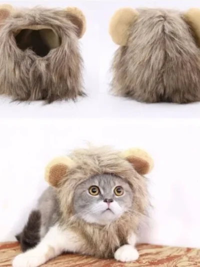 Warm & Whimsical Kitty Mane Hat.  Cozy, Cute, and Perfect for Little Feline Divas