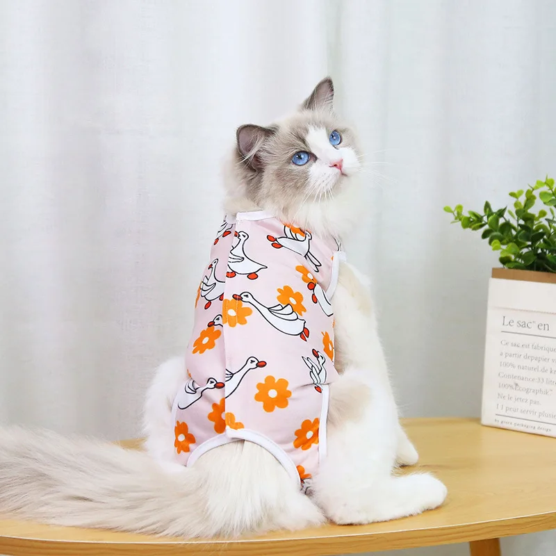 A cheerful little healing suit that brings comfort and color to recovery days. - Image 11