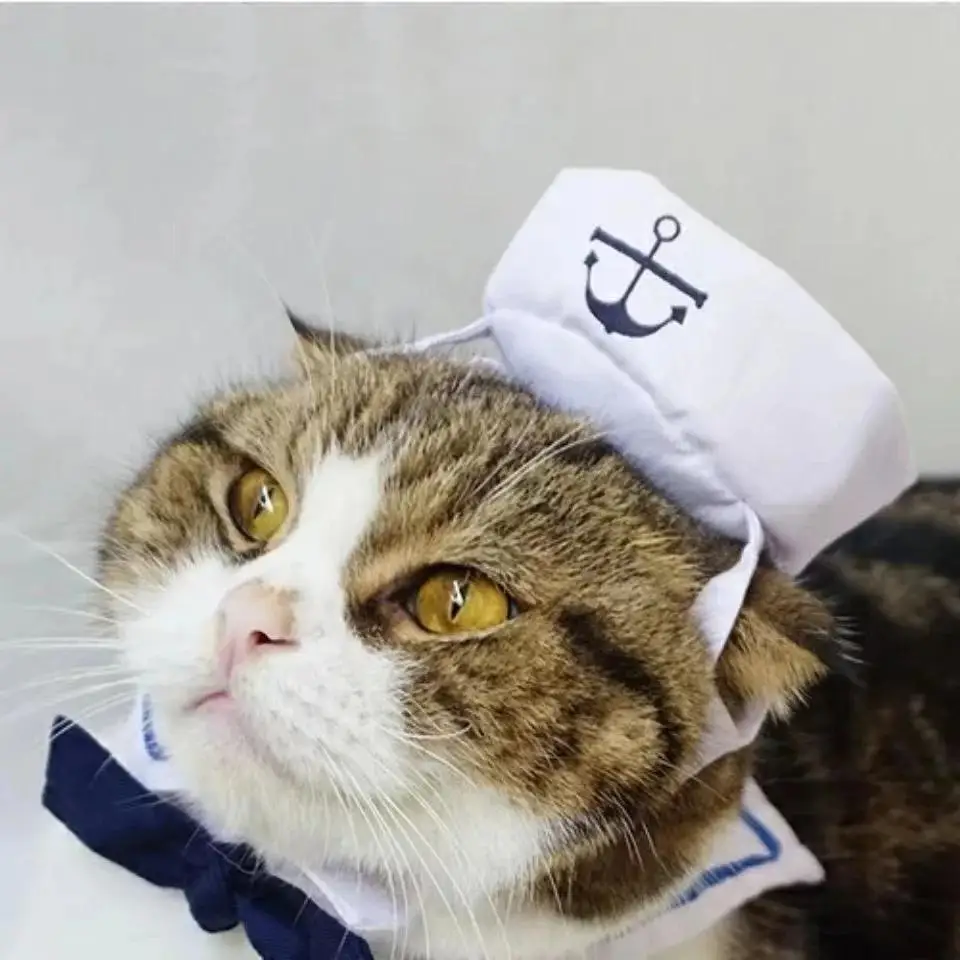 Seaside Sailor Kitty Suit. Nautical, Charming, and Ready to Set Sail - Image 3