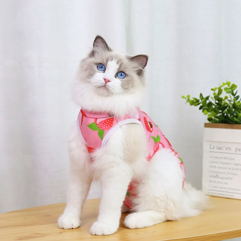 A cheerful little healing suit that brings comfort and color to recovery days. - Image 21
