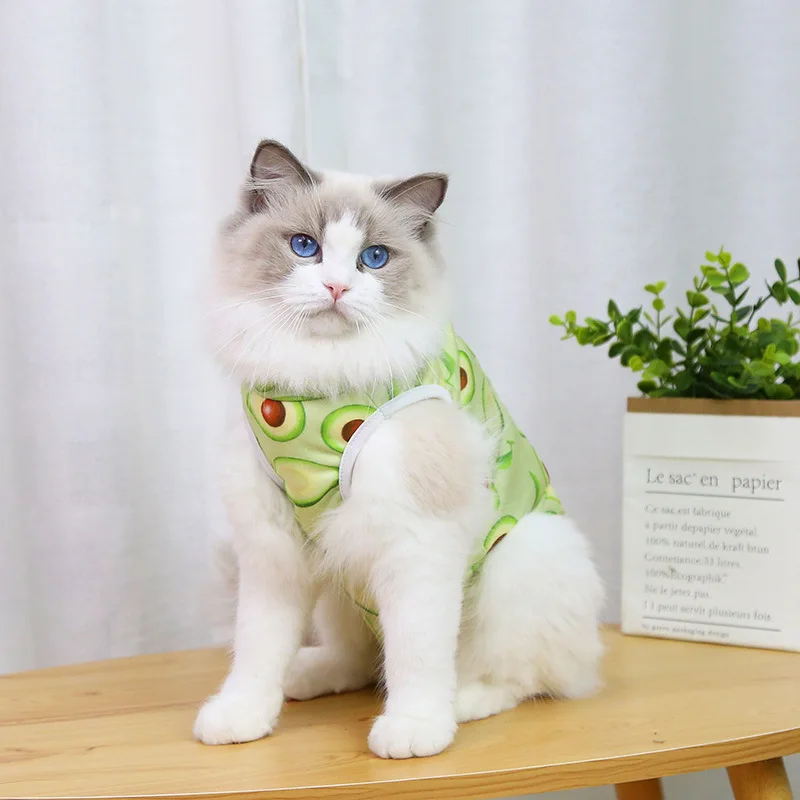 A cheerful little healing suit that brings comfort and color to recovery days. - Image 27