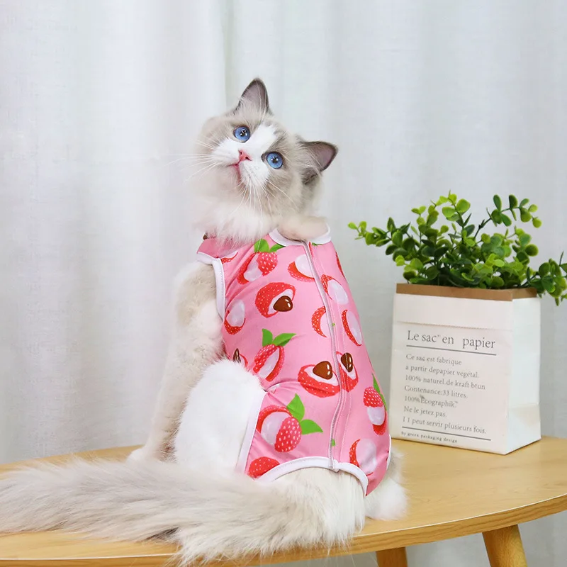 A cheerful little healing suit that brings comfort and color to recovery days. - Image 19