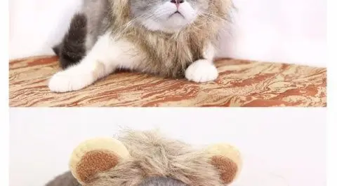 Warm & Whimsical Kitty Mane Hat. Cozy, Cute, and Perfect for Little Feline Divas - Image 12
