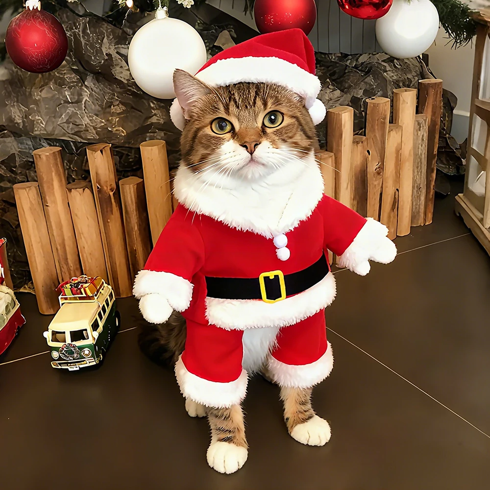 Santa Paw Holiday Suit. Cozy, Festive, and Totally Adorable - Image 14