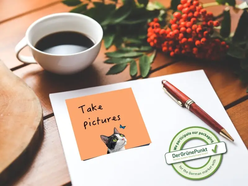 Black Cat Sticky Notes -9 Pad 3 X 3 Memo Set for School & Office - Image 10